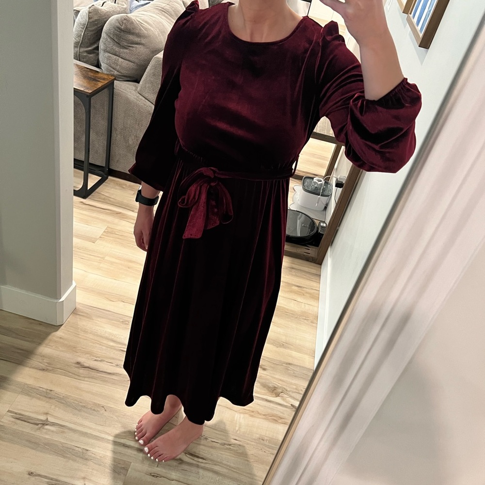 Velvet red dress